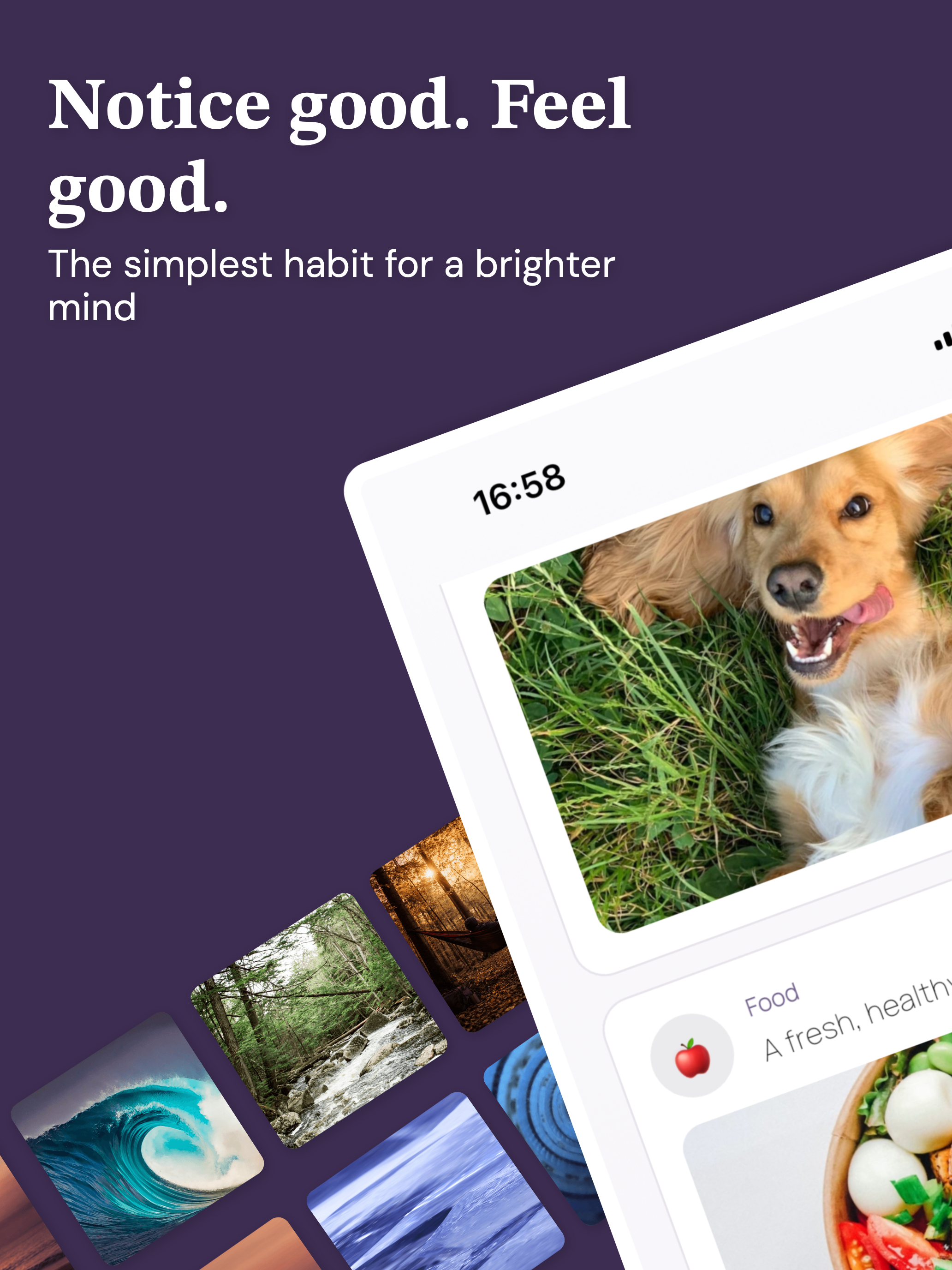 Positive Vision Tracker