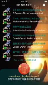 quran chinese translation problems & solutions and troubleshooting guide - 3
