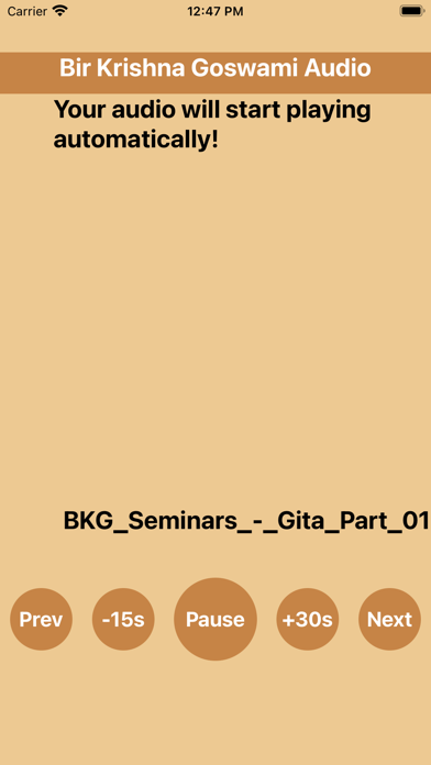 BKGAudio Screenshot