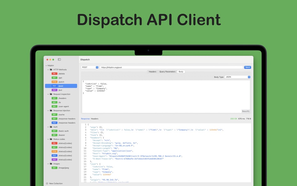 #1. Dispatch API Client (macOS) 게시자: Fimm Software Studio