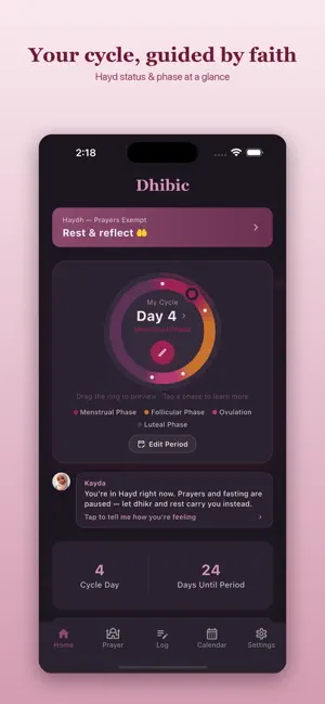 Dhibic screenshot 1