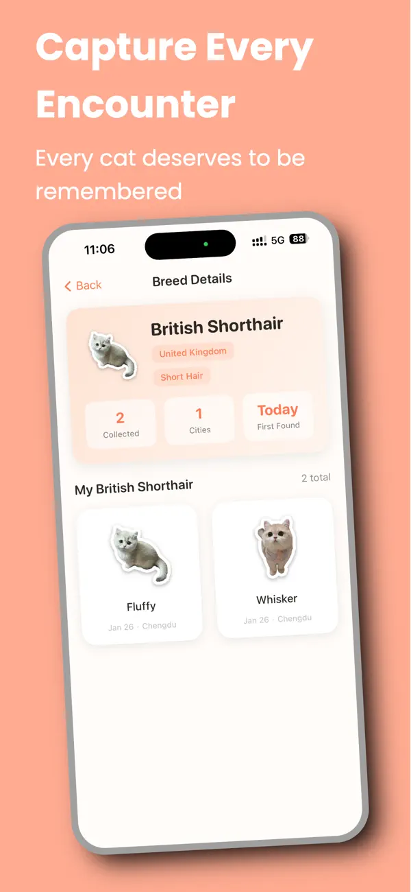 #4. MeowKnow (iOS) بواسطة: 新奇 刘