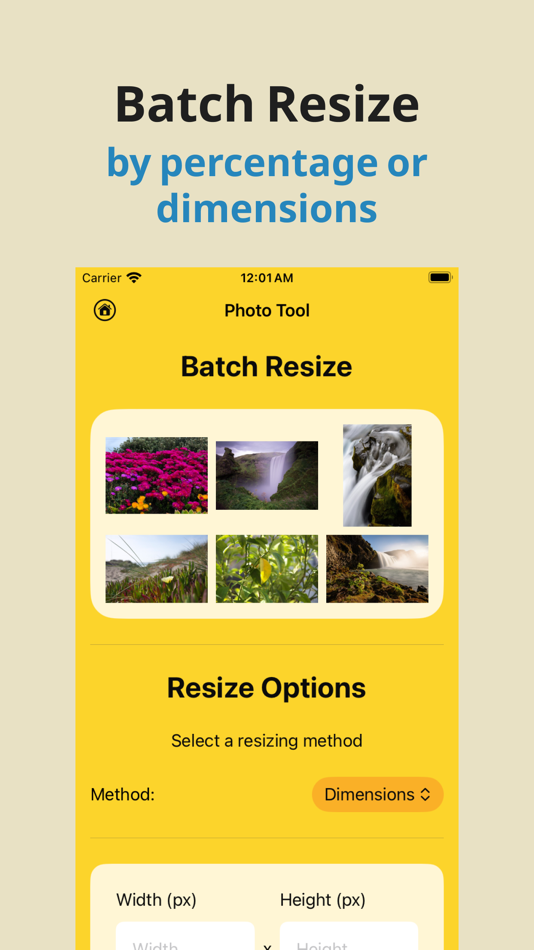 #3. Album Utility Mass Delete Tool (iOS) 由: Ki Tat Chung