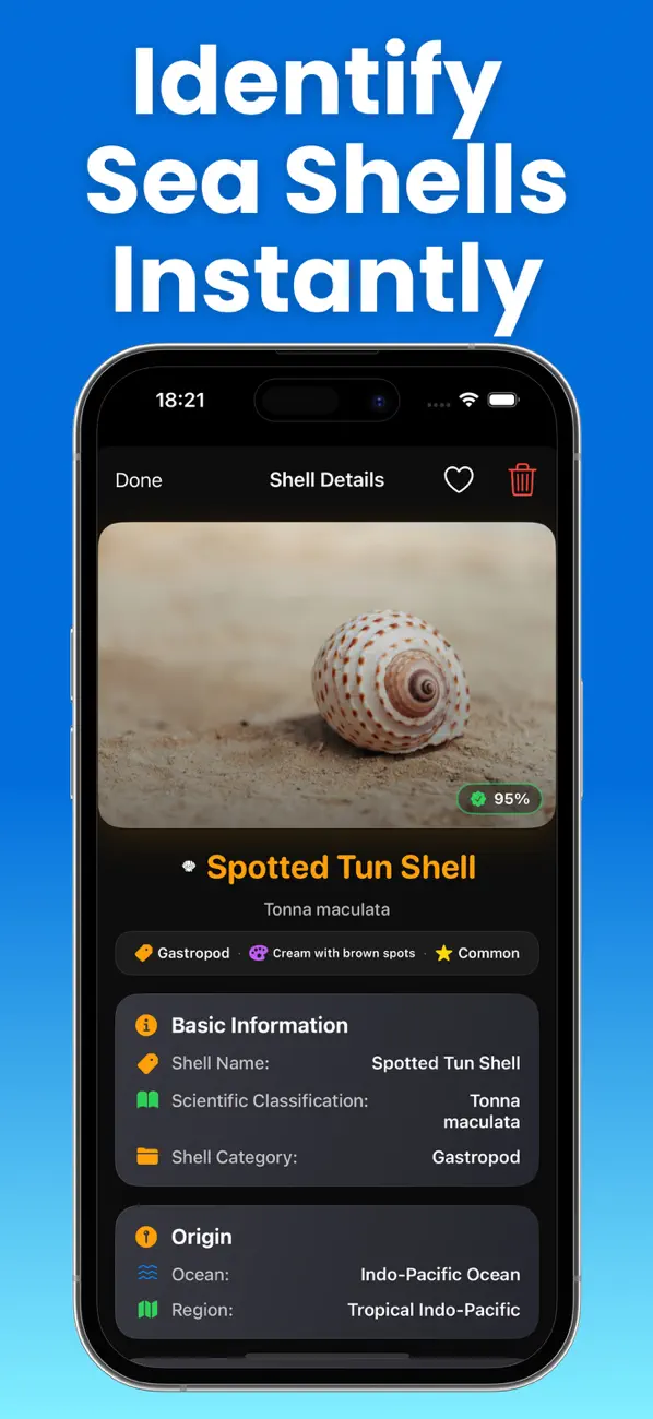 #2. Sea Shell Identifier: ShellTag (iOS) Ved: EBUZER SIMSEK