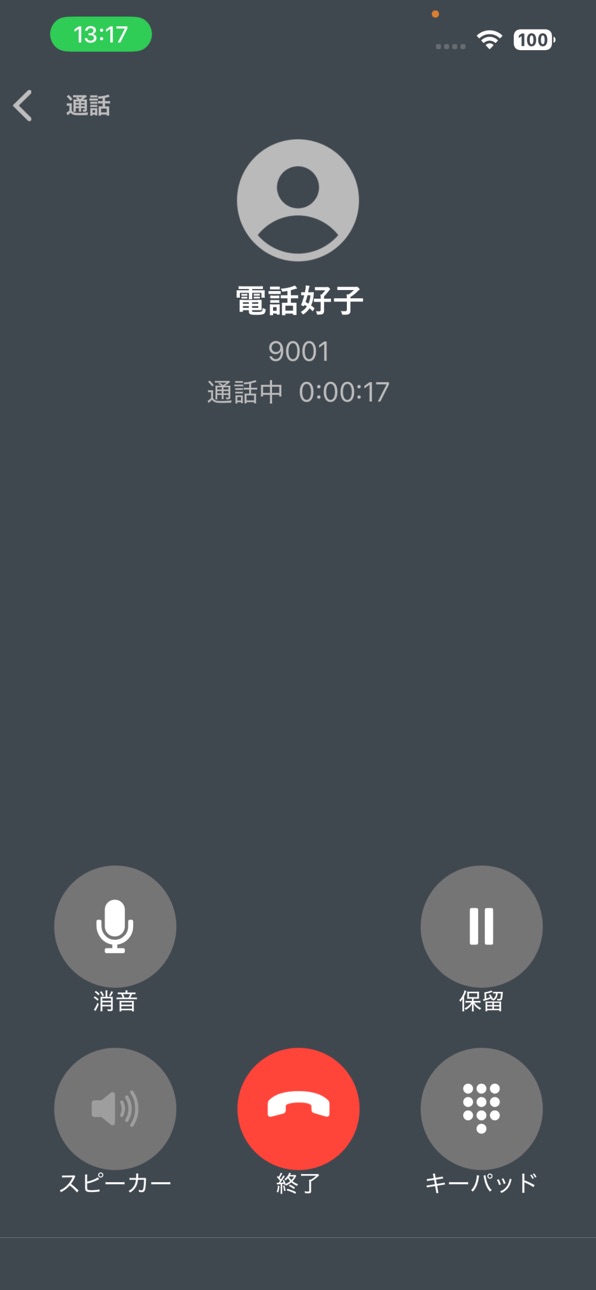 iPhone screenshot