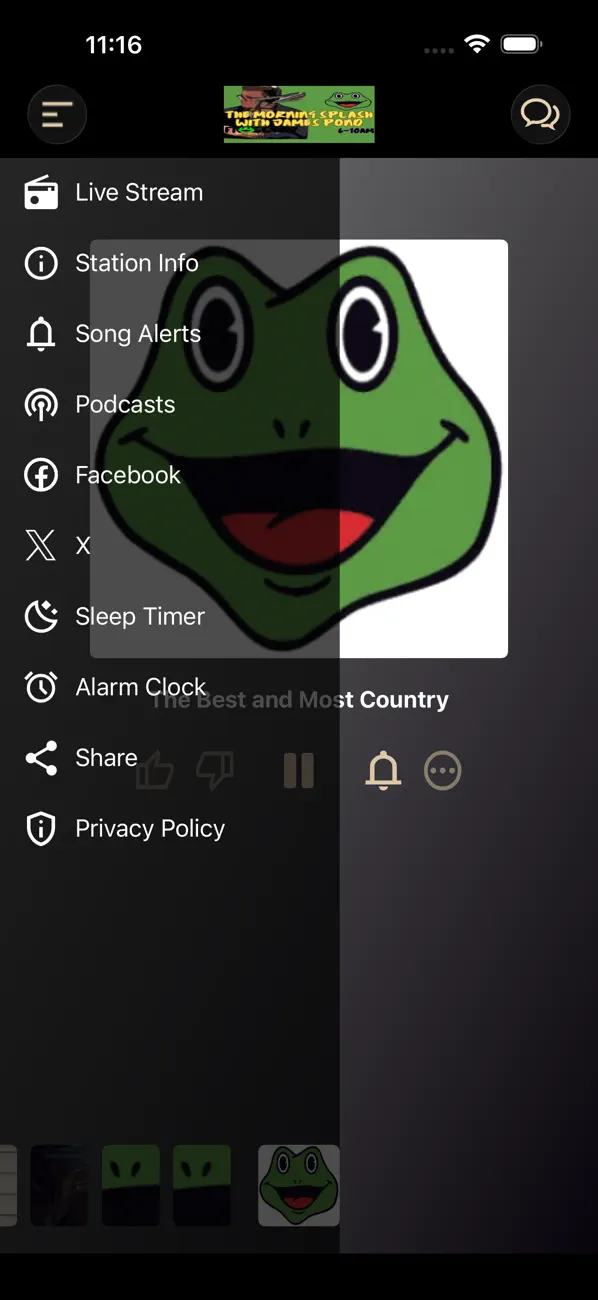 Screenshot #2 pour FROGGY 97FM