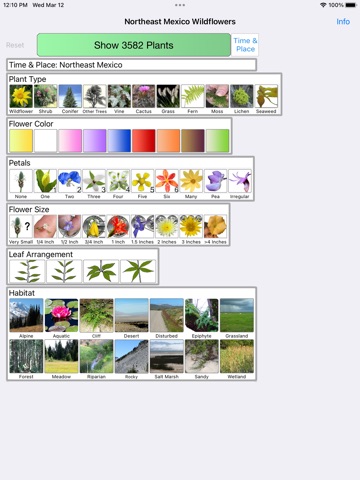 Northeast Mexico Wildflowers iPad screenshot