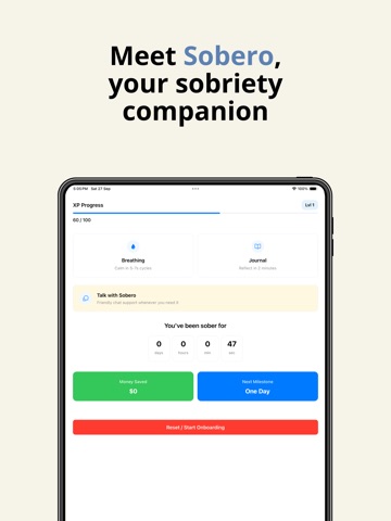 Quit Alcohol : Sobero iPad screenshot