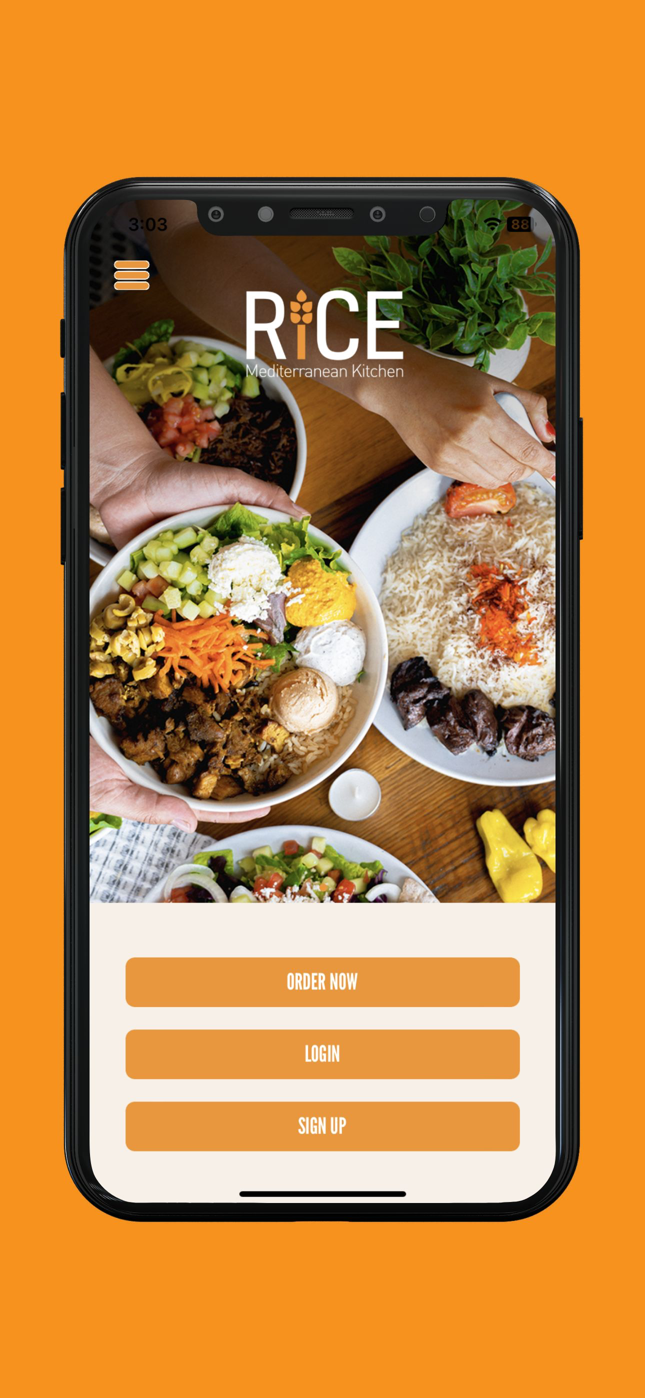 Rice Mediterranean Kitchen USA