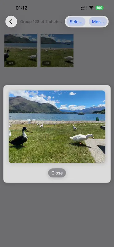 LiveCut - Stitch LivePhotos screenshot 2 of 5