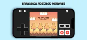 Dolphin Emulator - Basic screenshot 1