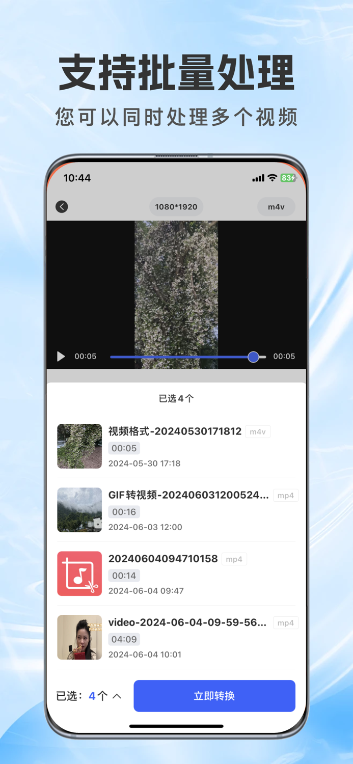 格式鱼-音视频格式转换工厂