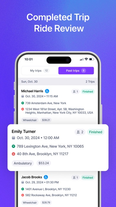 TripLink Driver iPhone screenshot 4 - Business app
