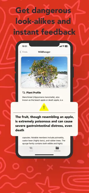 WildForager: Foraging ID Guide screenshot 4