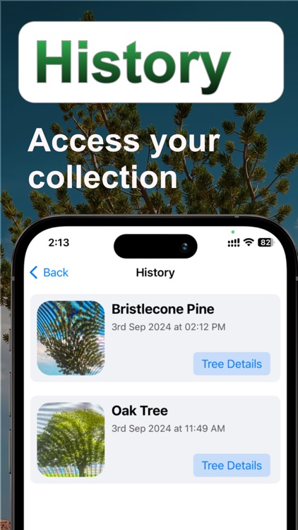 Tree Identifier:  AI Scan ID screenshot-3