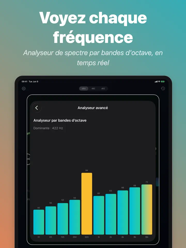 dB Meter Pro sur iPad : capture d’écran 2 sur 5