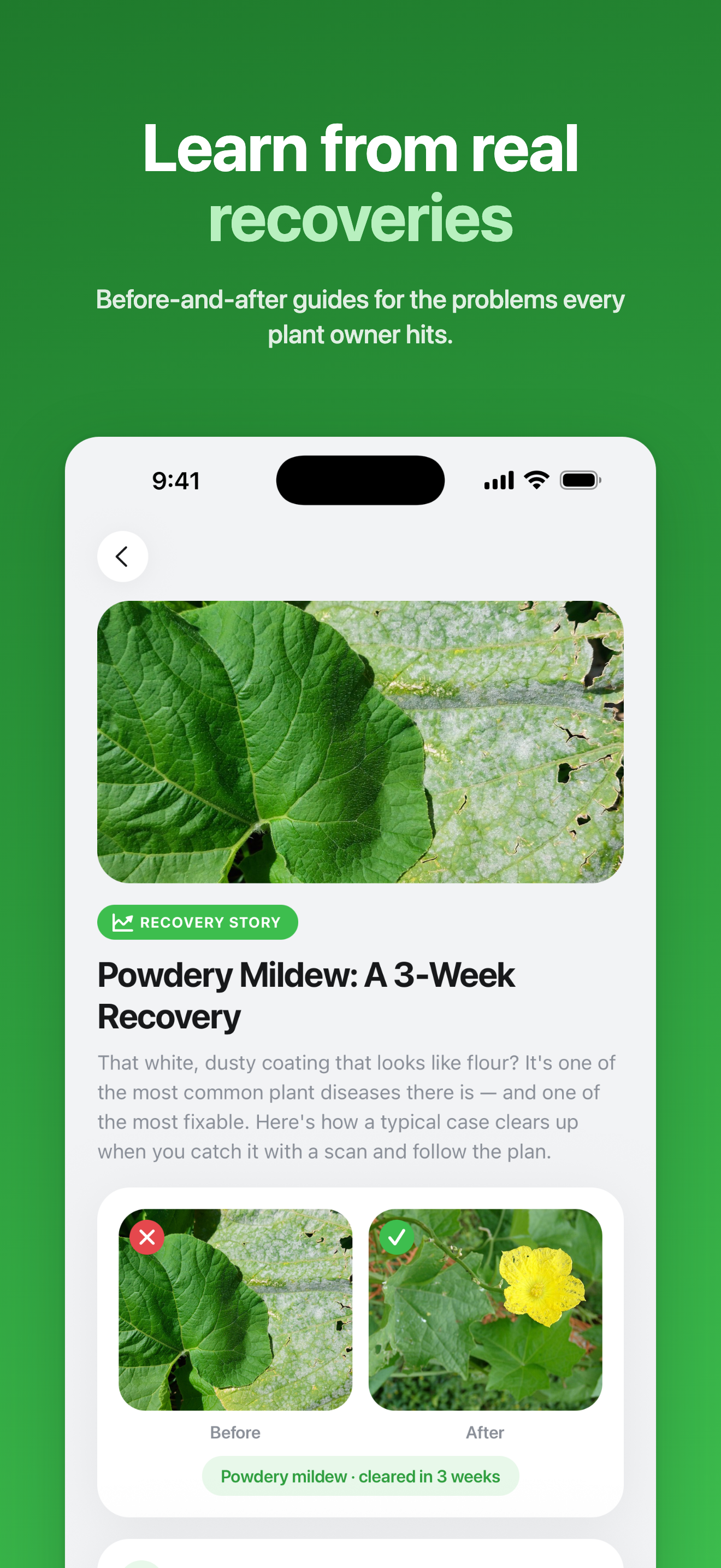 Plant Doctor AI: Diagnosis, ID screenshot 7