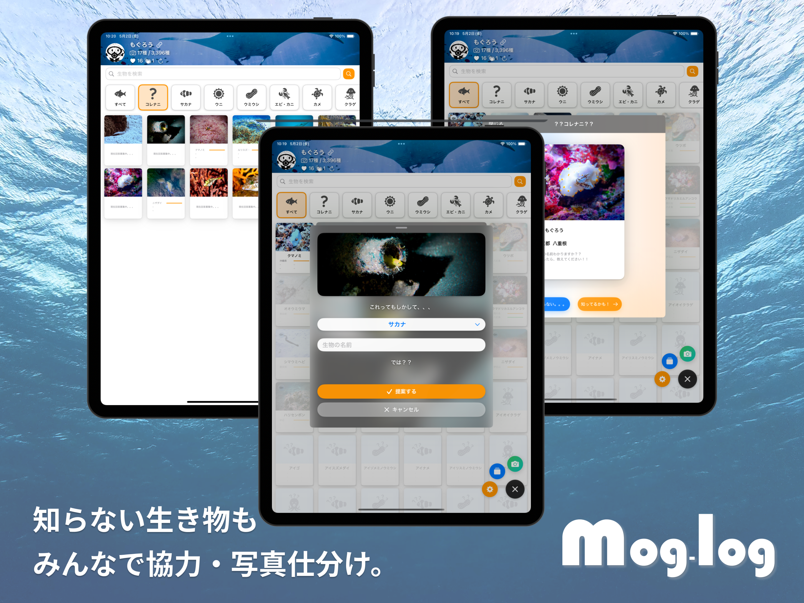mog-log｜みんなで作る海の生き物図鑑