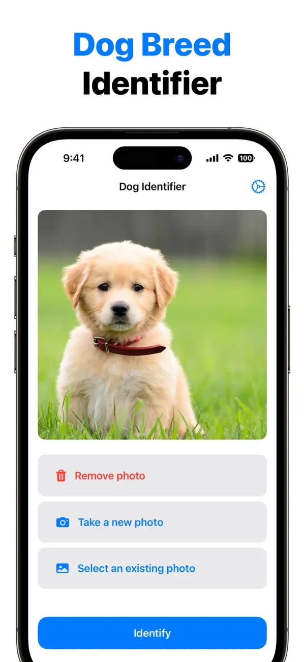 Screenshot #2 pour Dog Scanner Translate Dog AI