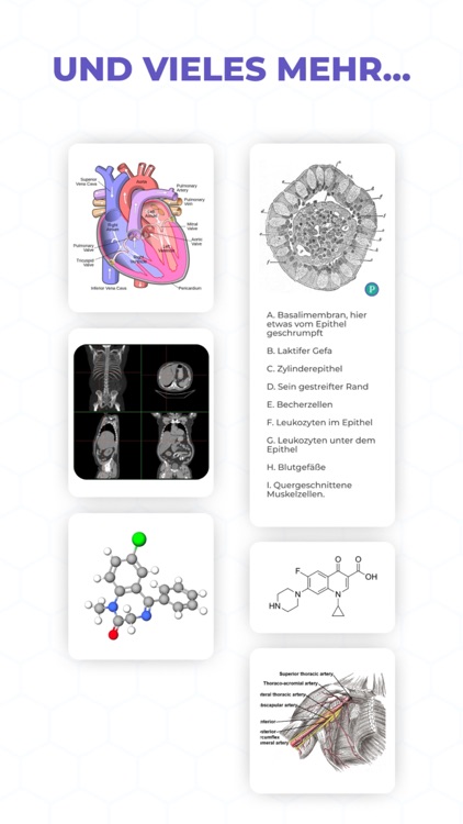 Pharmazing: Medizin-Assistent screenshot-9