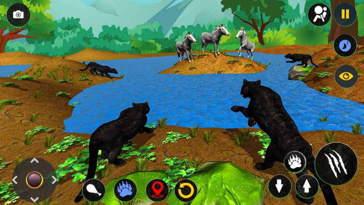 Wild Black Panther Furious Sim screenshot-4