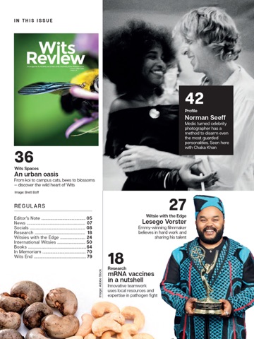Wits Review iPad screenshot