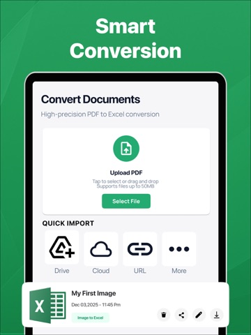 PDF to Excel Converter - XLSX iPad screenshot