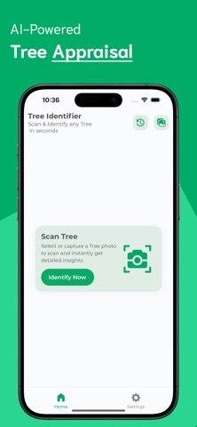Tree Identifier - TI screenshot