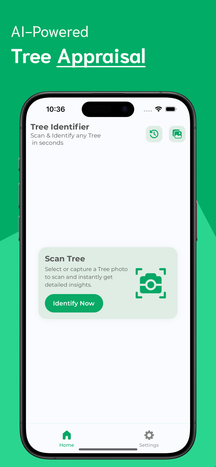 Tree Identifier - TI screenshot 1