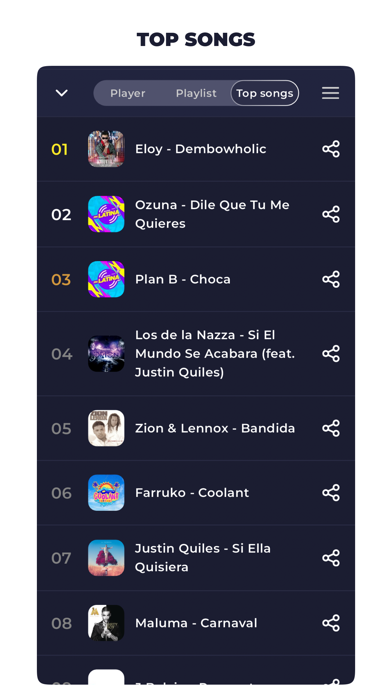 Radio Chile FM: Online Radio Screenshot