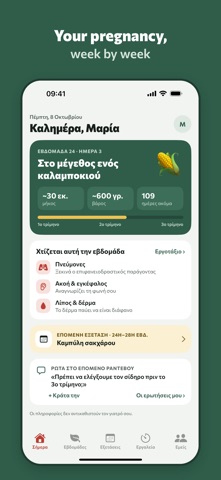 Boumpouki: Pregnancy screenshot 1