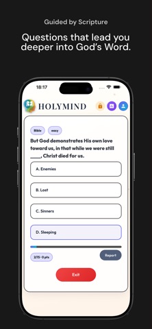 Holymind screenshot