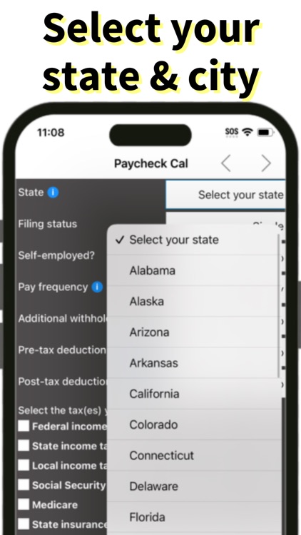 USA Paycheck Calculator screenshot-4