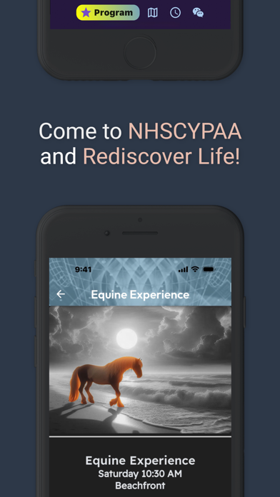 NHSCYPAA XXIV Screenshot