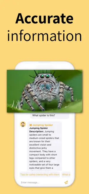 Spider Identifier: AI Scanner screenshot 2