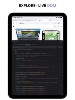 DevSnoop - Developer Browser screenshot 13