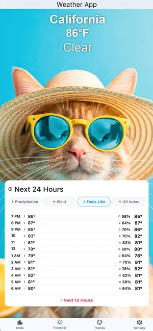 The Weather Cat Channel screenshot 2