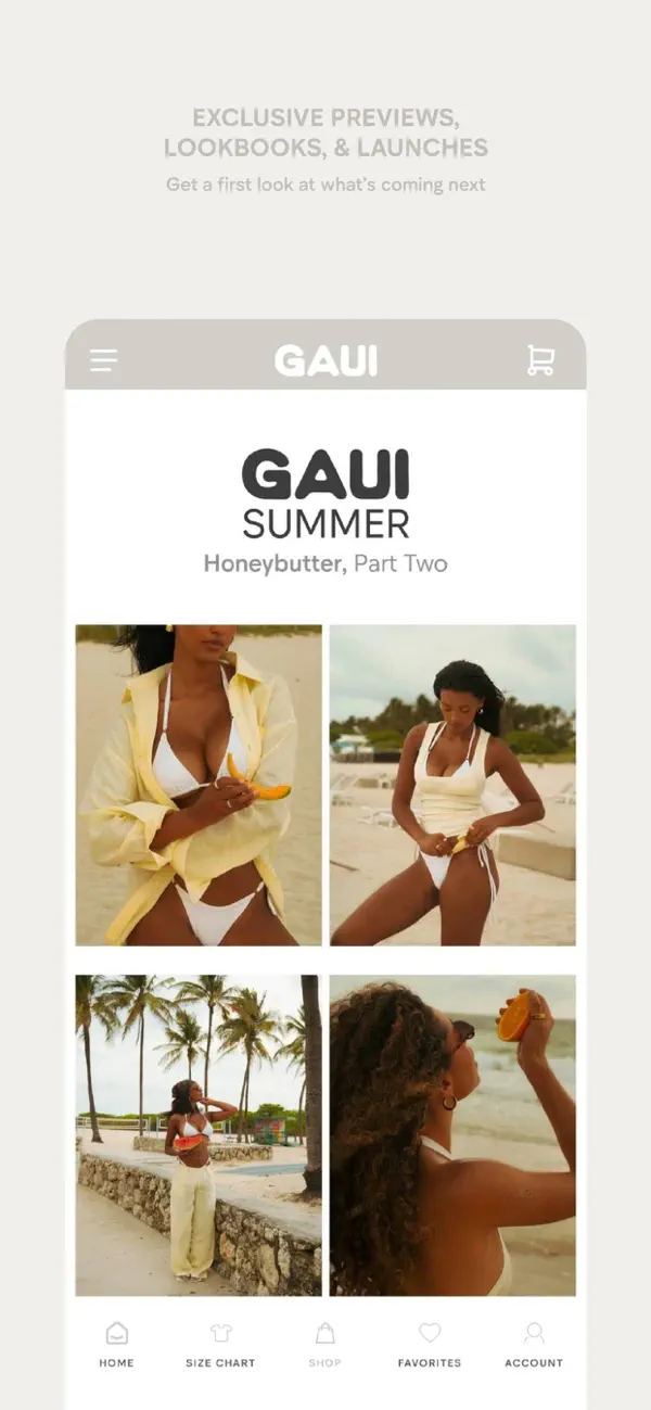 Screenshot #3 pour Gaui