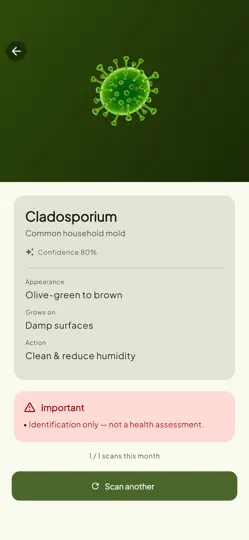 Captura de pantalla de Mold ID: Home Scanner en iPhone 1