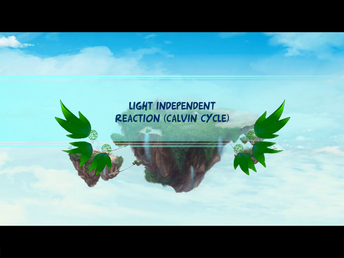 Light Independent Reaction