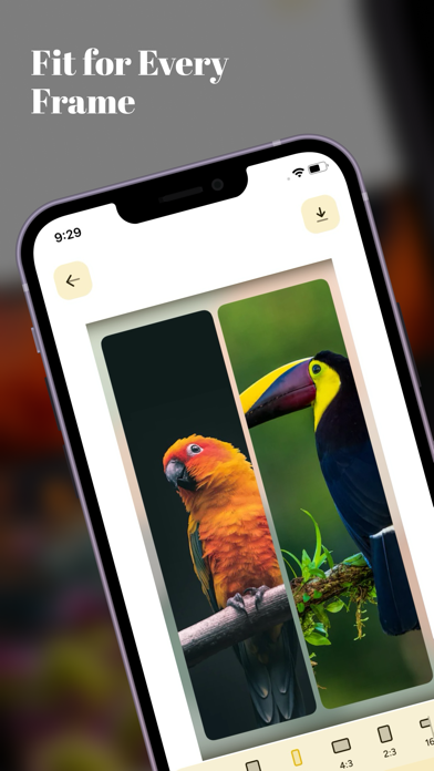 Photo Grid Collage Maker Screenshot