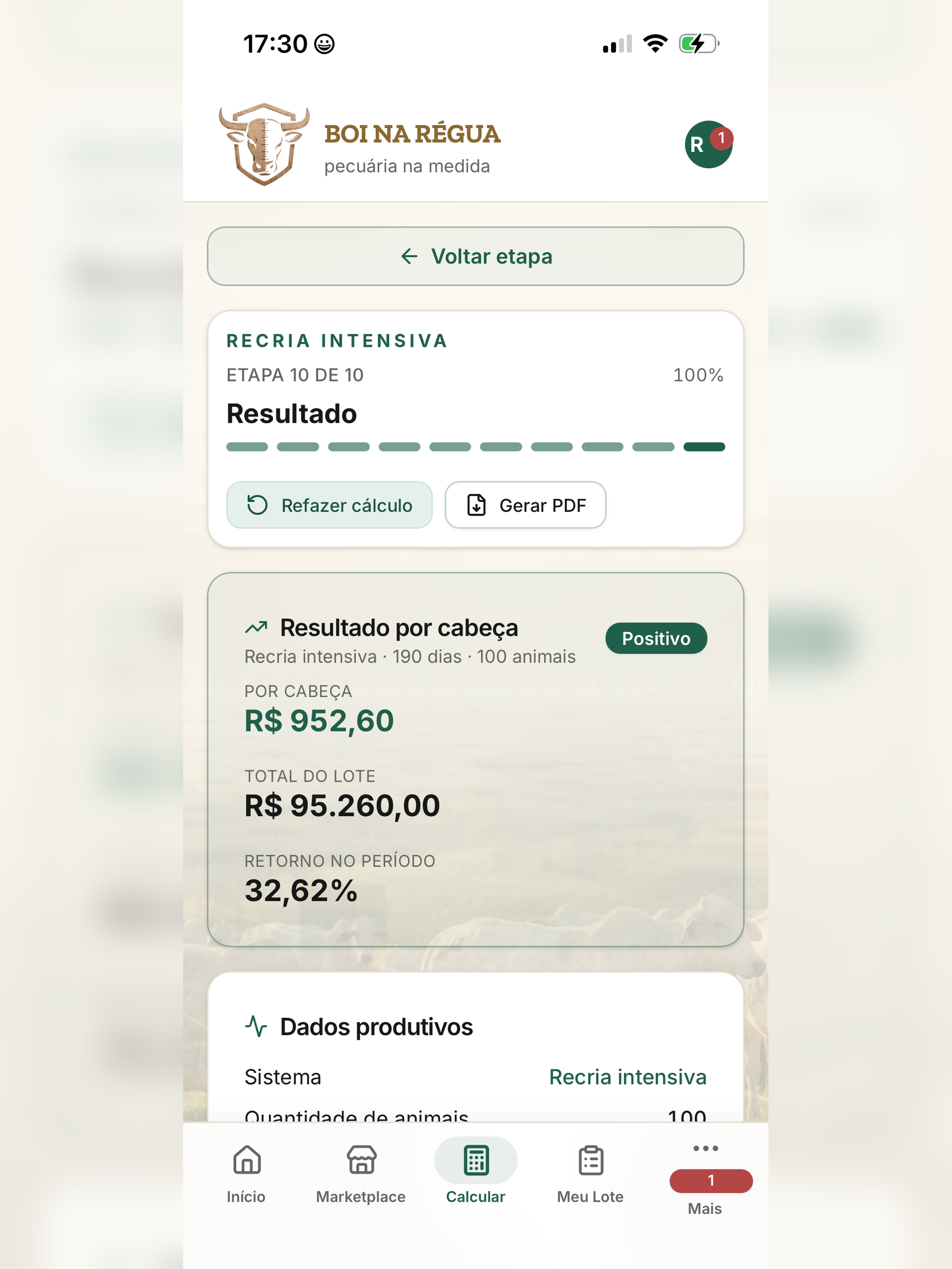 Boi na Régua screenshot 13