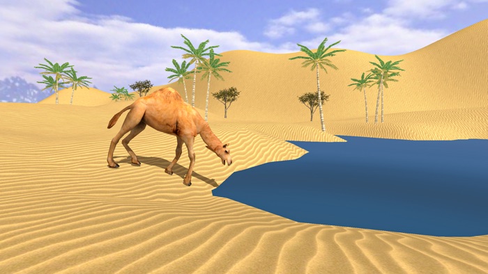 Camel Family Simulator Game