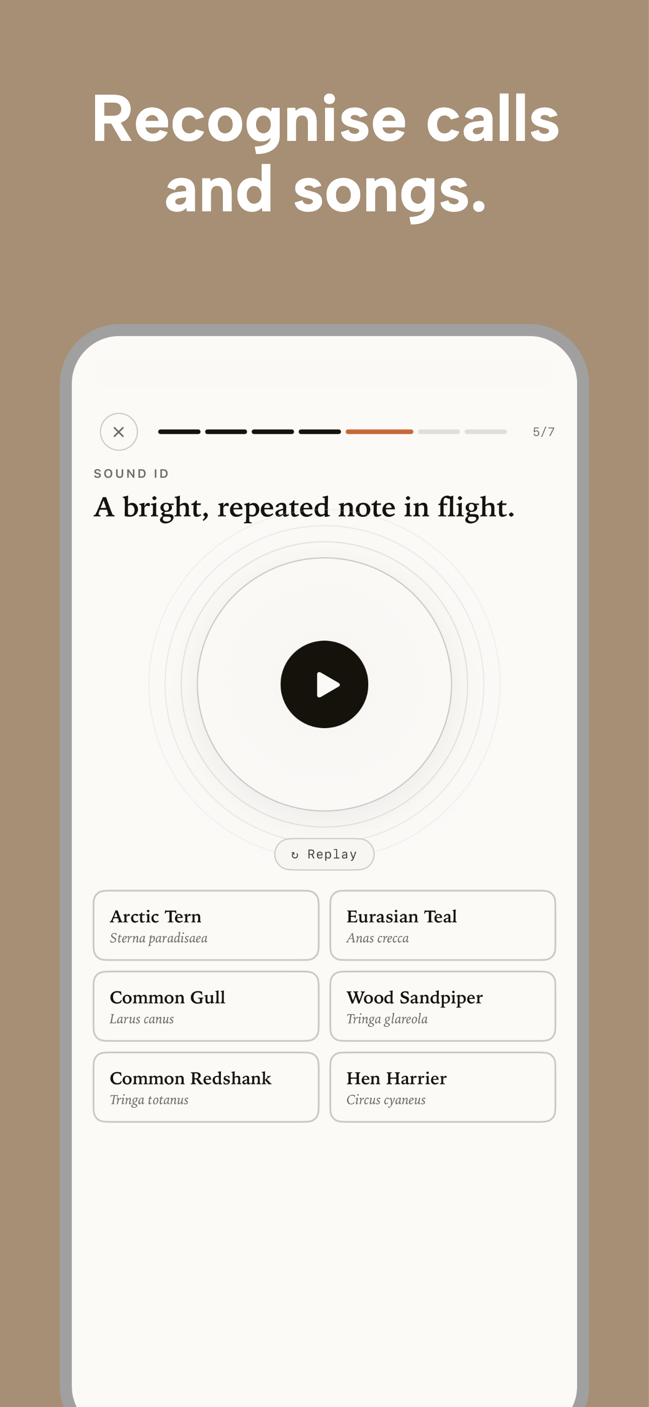 Nestling - Learn Birdwatching screenshot 7