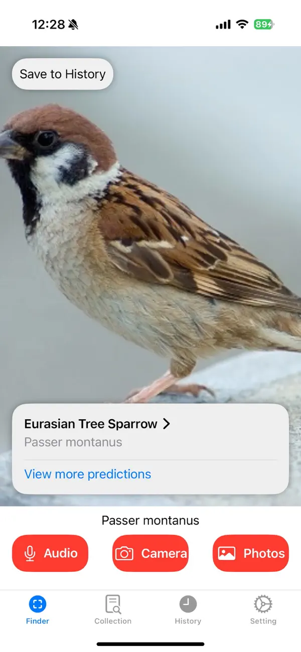 Screenshot #1 pour Bird Finder - Bird Identifier