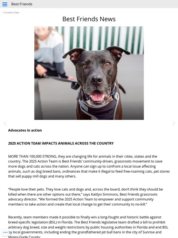 Best Friends Magazine iPad screenshot 5 - Lifestyle app