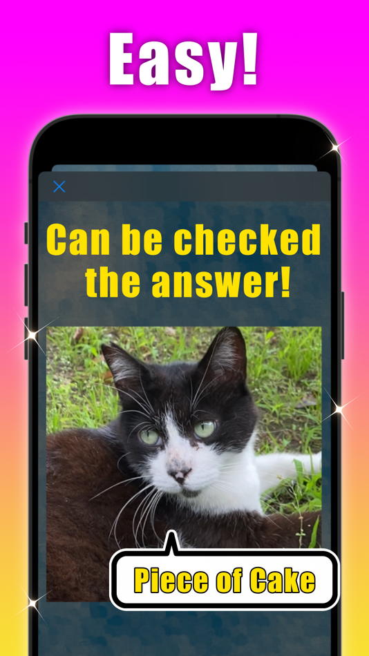 #3. SwaPuzz (iOS) 由: F-NET Apps