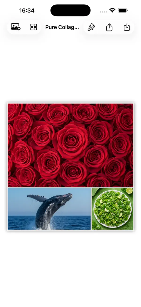 Screenshot #1 pour Pure Collages
