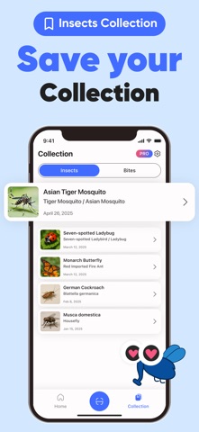 Insect Identifier: InsectGPT Screenshot 5 of 7