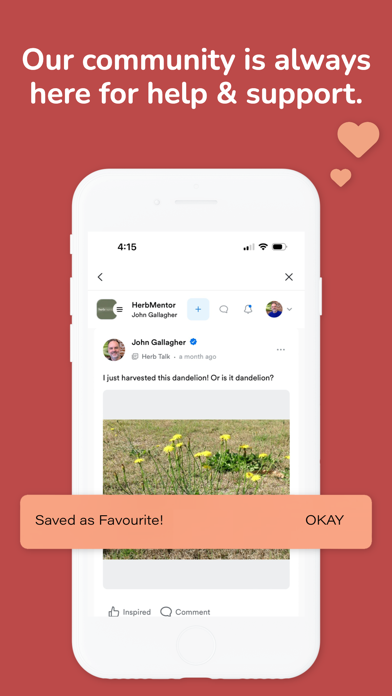 LearningHerbs Screenshot